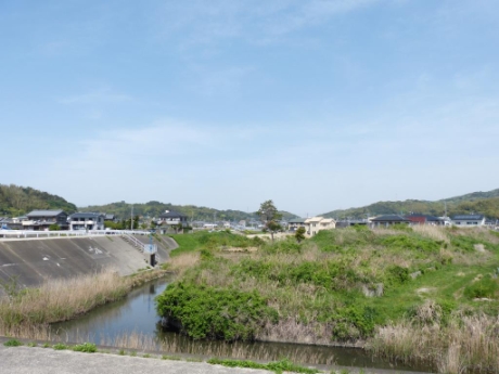 画像14
